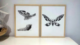 Carles Ganya "Mothra" Diptych