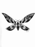 Carles Ganya "Mothra" Diptych