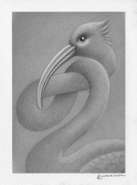 Juliet Schreckinger "Giant Ibis Sketch"