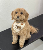 Scott C. "Pet Bandana"