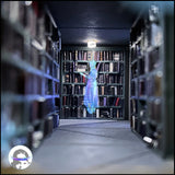 Matt Maldonado "The Library Ghost - A Ghostbusters Story"