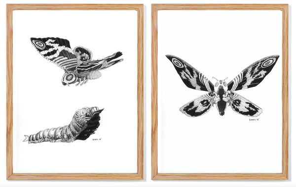 Carles Ganya "Mothra" Diptych