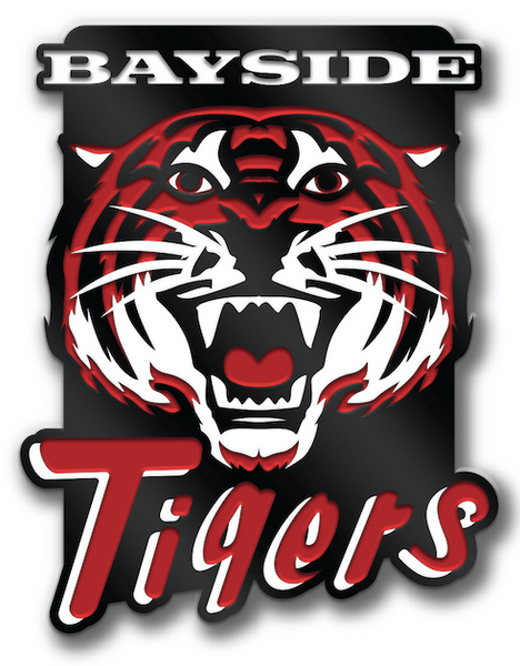 Jeff Boyes "Bayside Tigers" Pin