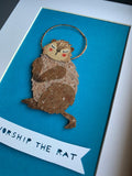 Samantha Heidinger / Catfriendo "Worship the Rat"