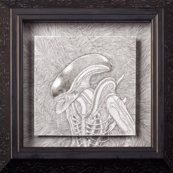 Andi Soto "The Bane of Nostromo"