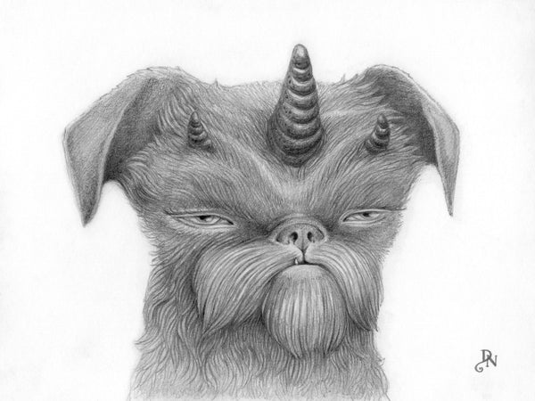 David Natale "Stanley"