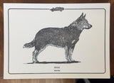 Evanimal "Dog" Postcard Print