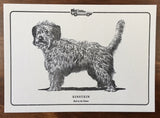 Evanimal "Einstein" Postcard Print