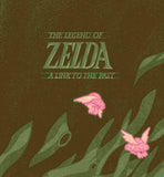 Duncan Robertson "Link to the Past" Print
