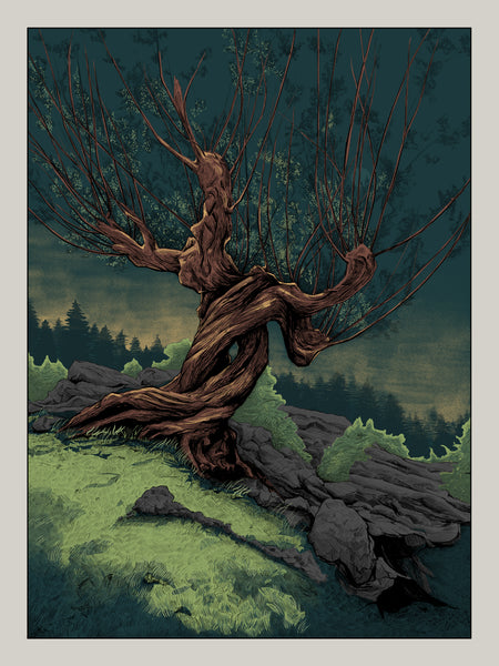 Jake Rathkamp "Cinema Arboretum"