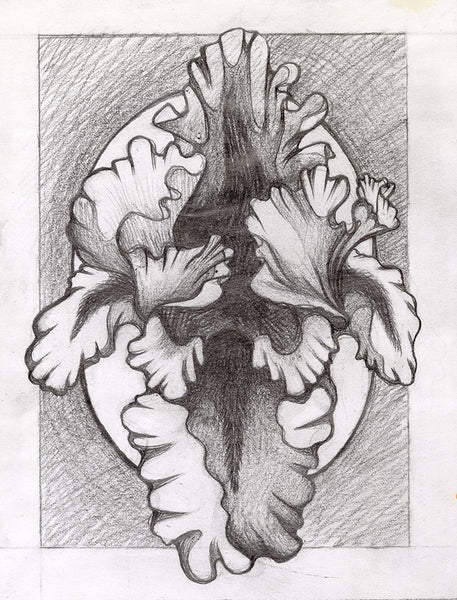 Leah Kellaway "Iris Original Drawing"