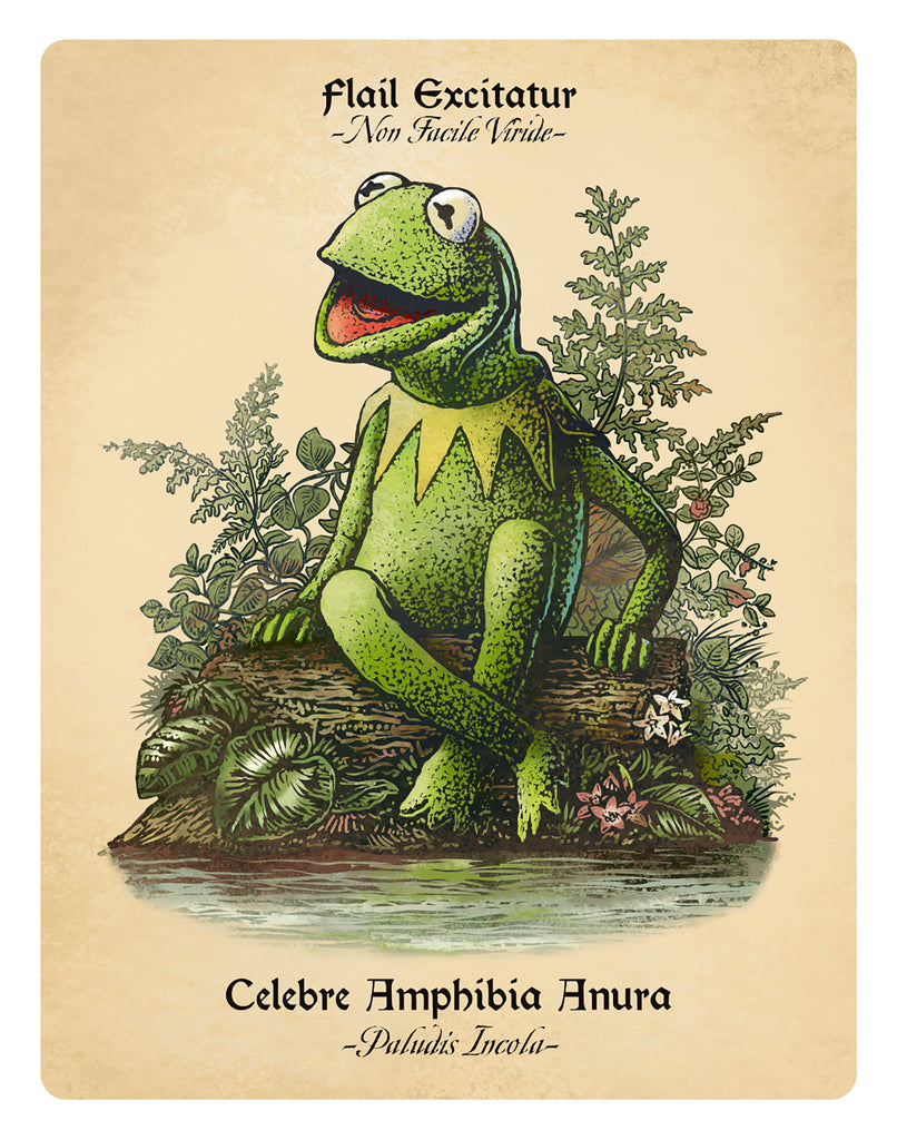 Chet Phillips "Celebre Amphibia Anura Study" print