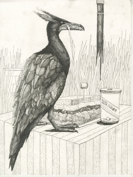 John Rego "Cormorant"