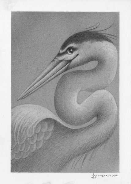 Juliet Schreckinger "Great Blue Heron Sketch"