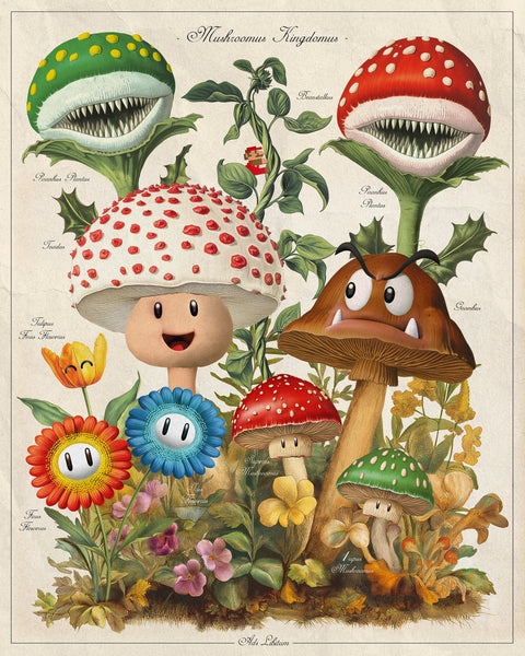 Ads Libitum "Mushroom Kingdomus" Print