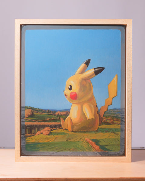 Nicholas Prodromou "Pikaview"