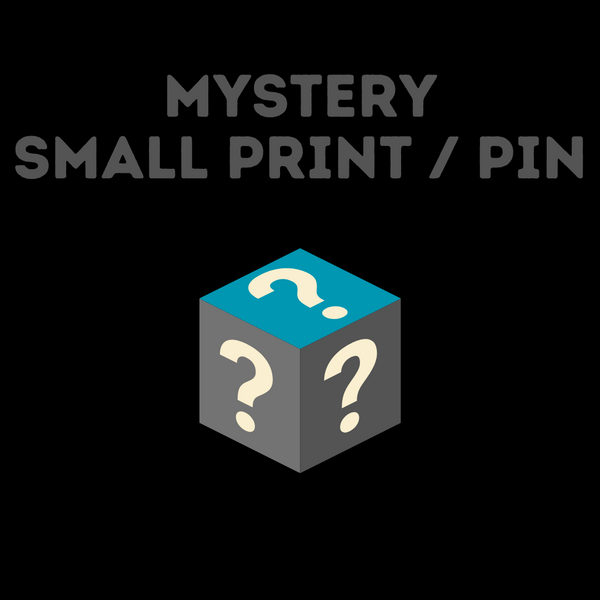 Gallery1988 Mystery Print/Pin - Small