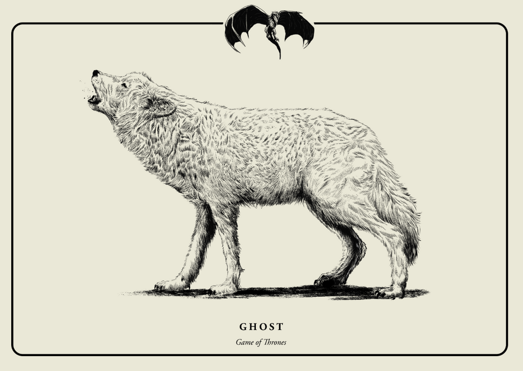 Evanimal "Ghost" Postcard Print
