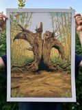 Jake Rathkamp - The Graphite Club "The Old Fig Tree" Print
