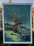 Jake Rathkamp - The Graphite Club "The Whomping Willow" Print