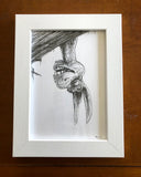 Barry Blankenship "Donkey Sketch"